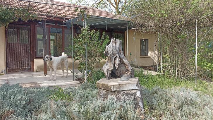 Korhan Berzeg'den 300 gündür haber yok: Umudumuz kalmadı, ailesi evi kapattı