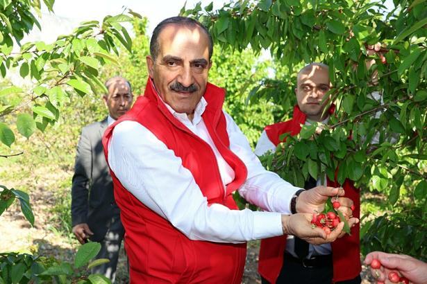 'Kiraz ihracatında hedef Türkiye'ye 250 milyon dolar döviz girdisi sağlamak'