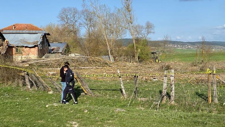 Ağacın altında kalarak yaşamını yitirdi