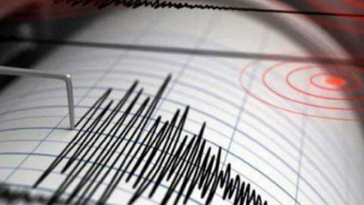 Muğla'da 4.0 büyüklüğünde deprem