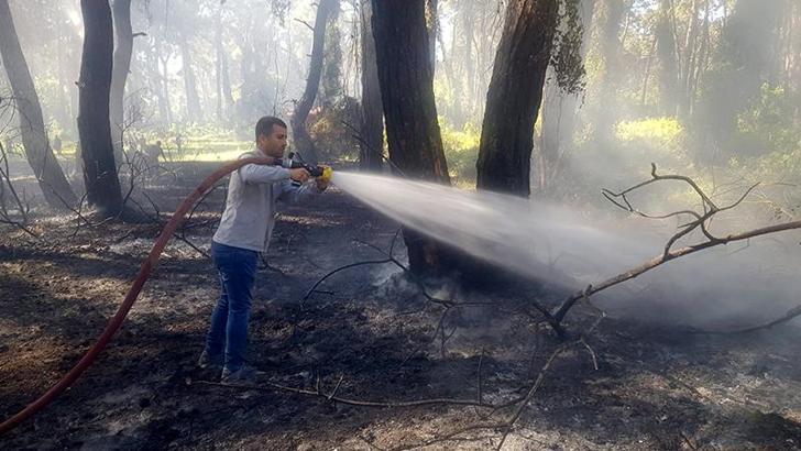Antalya'da orman yangını