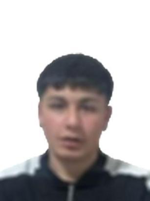 İstanbul - Fatih'te bekçilerle şüpheliler arasında arbede; Bekçilerin ateş ettiği köpek yaralandı