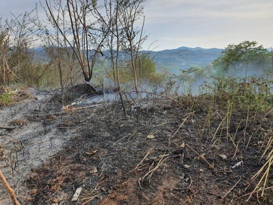Giresun’da örtü yangını