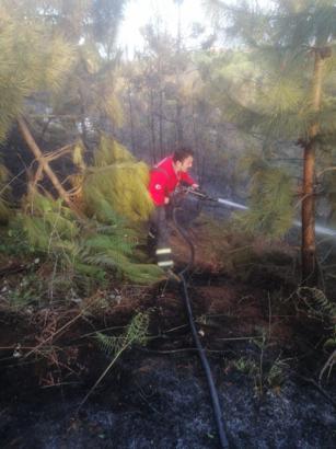 Giresun'da örtü yangını (2)