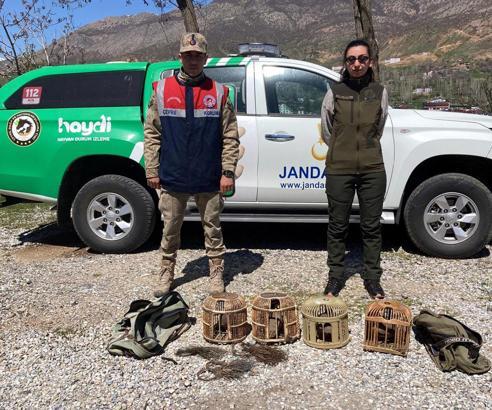Bitlis'te kaçak keklik avlayan 3 kişiye 67 bin 703 TL ceza