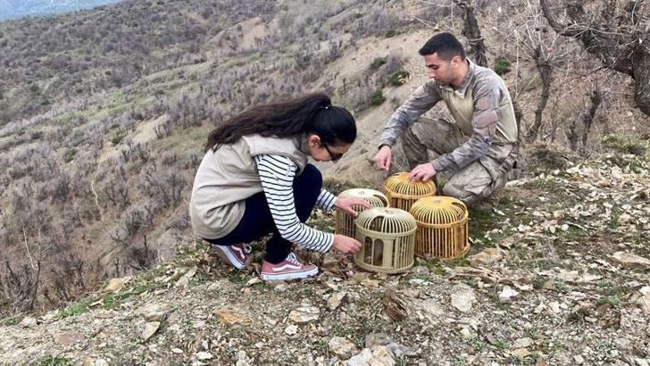 Bitlis'te kaçak keklik avlayan 3 kişiye 67 bin 703 TL ceza