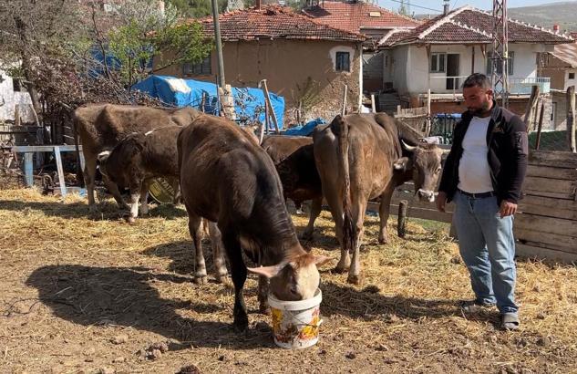 Tokat'ta depremin merkez üssünde su kesintisi; çeşmelerden su taşıdılar