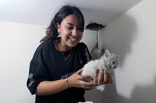 Havalandırma boşluğuna düşen 2 kedi kurtarıldı