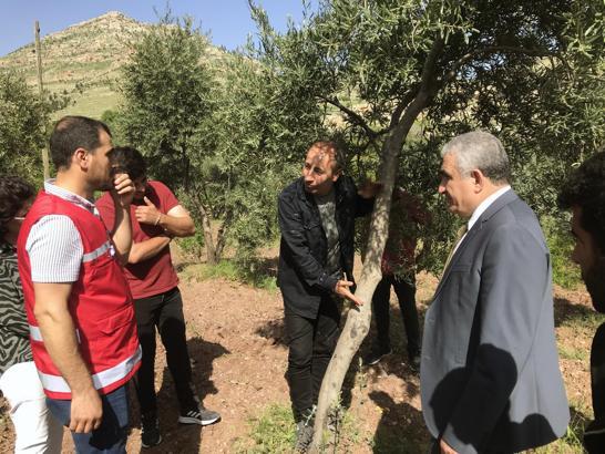 Derik’te 98 zeytin üreticisine eğitim