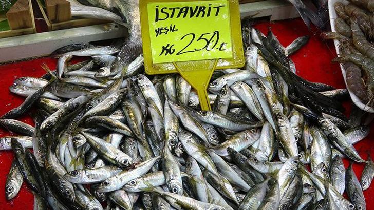 Av yasağı başladı, balık fiyatları arttı