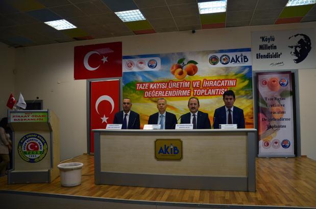 Mut’ta taze kayısı üretim ve ihracatı değerlendirildi