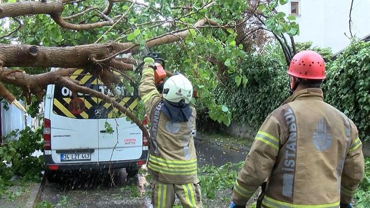 Maltepe’de ağaç park halindeki araçların üzerine devrildi