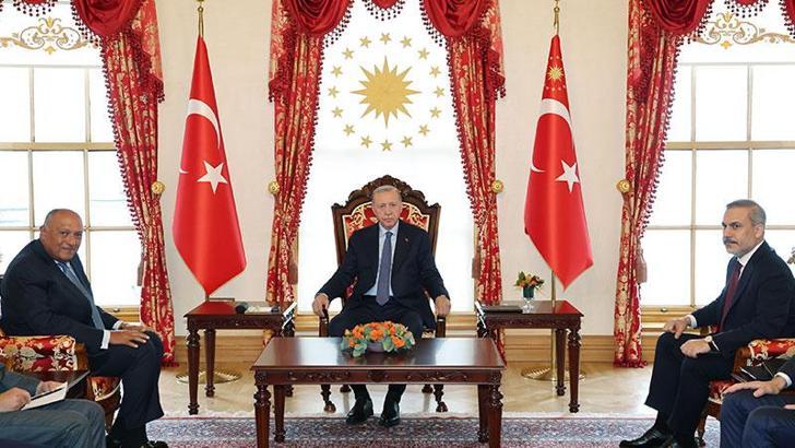 Cumhurbaşkanı Erdoğan Mısır Dışişleri Bakanı Sameh Shoukry'i kabul etti