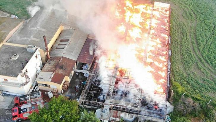 Depodaki yangında 160 ton kozalak küle döndü