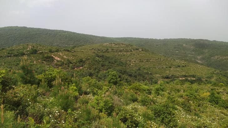 Korhan Berzeg’in kızından DNA örneği alınacak; hayvanların cesedi parçalamış olma ihtimali üzerinde duruluyor (4)