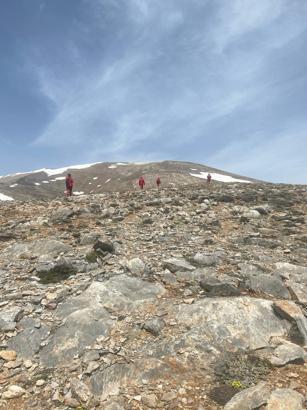 Mersin'de kaybolan 79 yaşındaki Taşpınar için arama çalışması başlatıldı