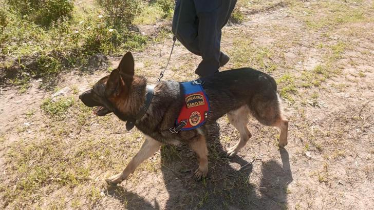 Kaybolduktan 316 gün sonra öldüğü kesinleşti; kemikler Korhan Berzeg’e ait çıktı