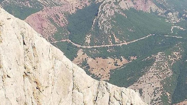 Hayvanlarını otlatırken ayının saldırısına uğradı