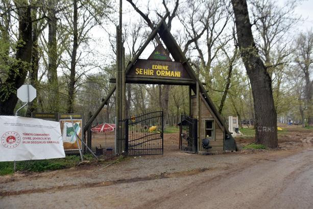 Vali Sezer: Kent Ormanı'nda 2 ay içinde işler tamamlanacak