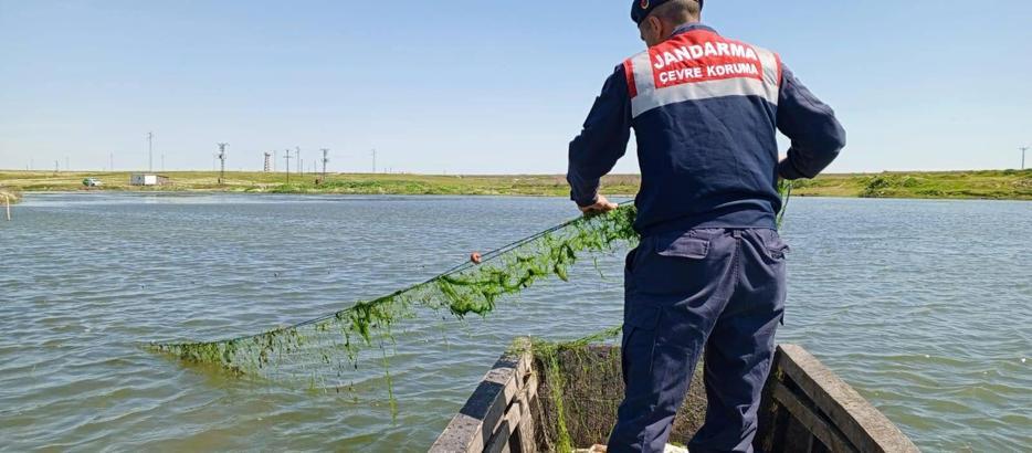 Edirne’de jandarma gölete atılan kaçak ağları topladı
