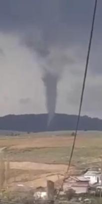 Sivas’ta, ormanda ağaçların devrildiği hortum kamerada