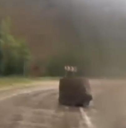 Adana’da 4 öğretmenin öldüğü bölgede, yola yine kaya düştü