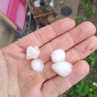 Sivas'ta dolu; ekili araziler zarar gördü