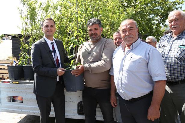 Bir yılda 10 bin meyve fidanı dağıtılacak