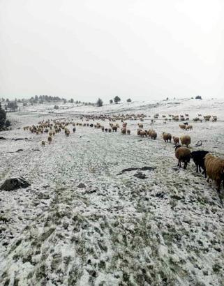 Tokat'ta mayıs ayında kar yağdı