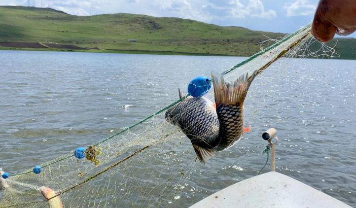 Buzları çözülen Çıldır Gölü'nde balık bereketi yüzleri güldürdü