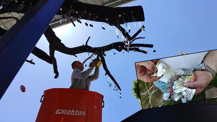 Kırşehirli 1310 şehidin künyesi, ‘Şehitler Ağacı’na asıldı