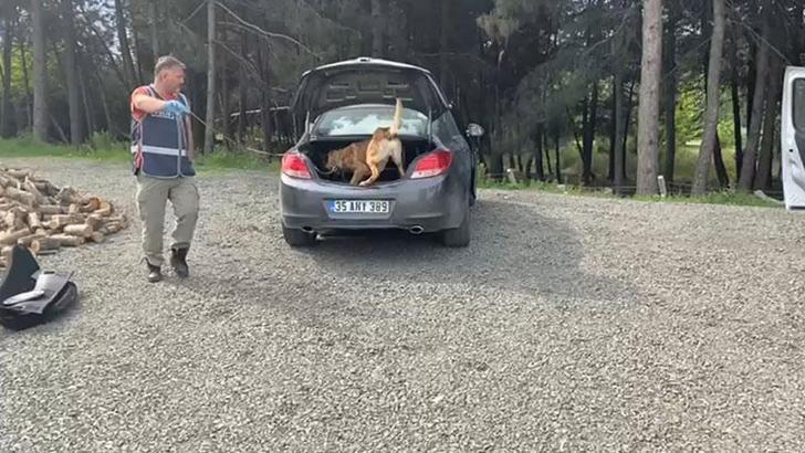 Samsun’da uyuşturucu operasyonu; 11 tutuklama