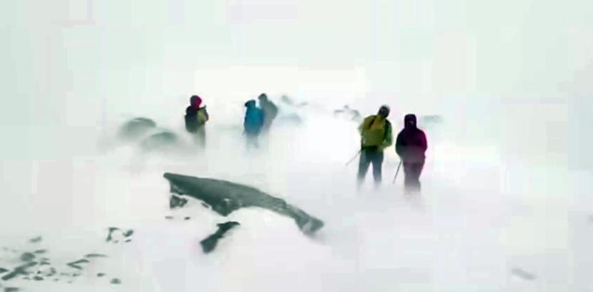 Rus dağcılar, Ağrı Dağı'nda tipiye yakalandı