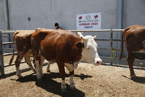İHH, Kurban Bayramında 3 milyon kişiye ulaşmayı hedefliyor