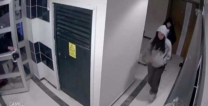 Apartmandan ayakkabı hırsızlığı kamerada