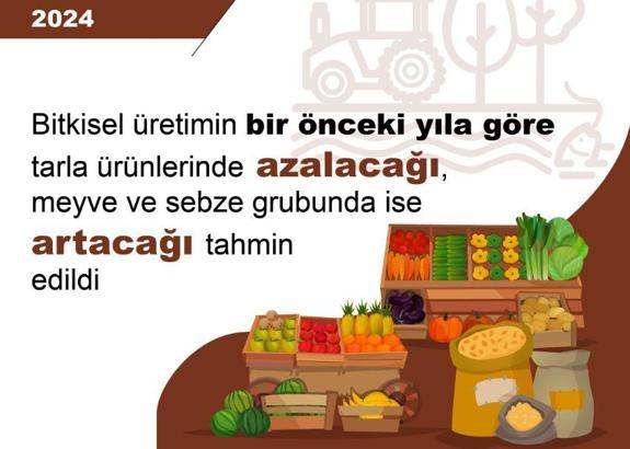 TÜİK: 2024'te tahıl üretiminde azalış, sebze ve meyve üretiminde artış öngörüldü
