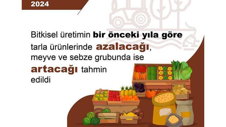 TÜİK: 2024'te tahıl üretiminde azalış, sebze ve meyve üretiminde artış öngörüldü