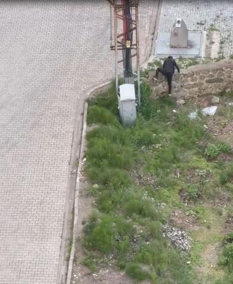 Tekmelediği kediyi öldürüp, fırlattı, 'kendimde değildim' dedi