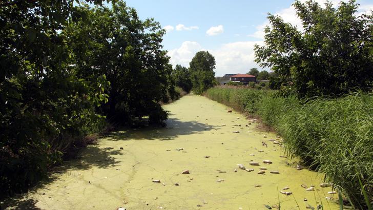 Bayır Deresi, kirlilikten yeşile büründü