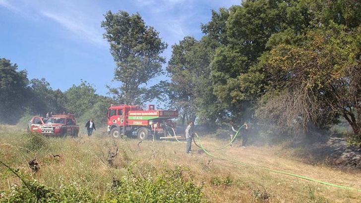 Çanakkale'de tarım arazisinde yangın