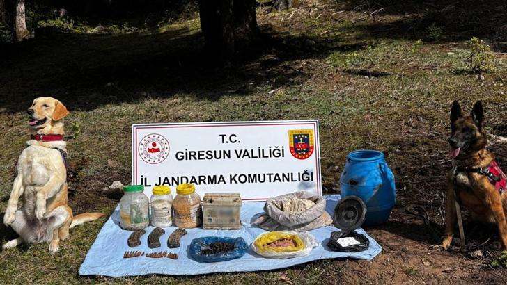 Giresun'da terör örgütünün kullandığı sığınak kullanılmaz hale getirildi