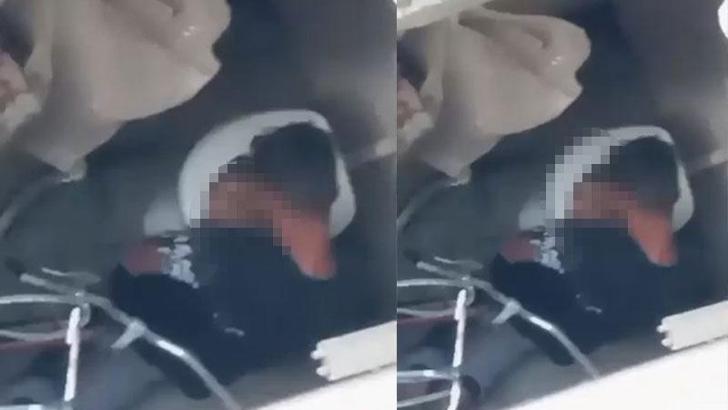 Tavuğa cinsel istismar şüphelisi tutuklandı