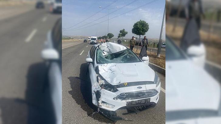 Yolun karşısına geçerken otomobil çarpan çoban, öldü