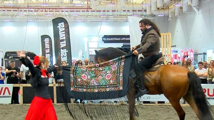 Atlar güzellik yarışmasında boy gösterdi; kalp krizi geçiren at öldü