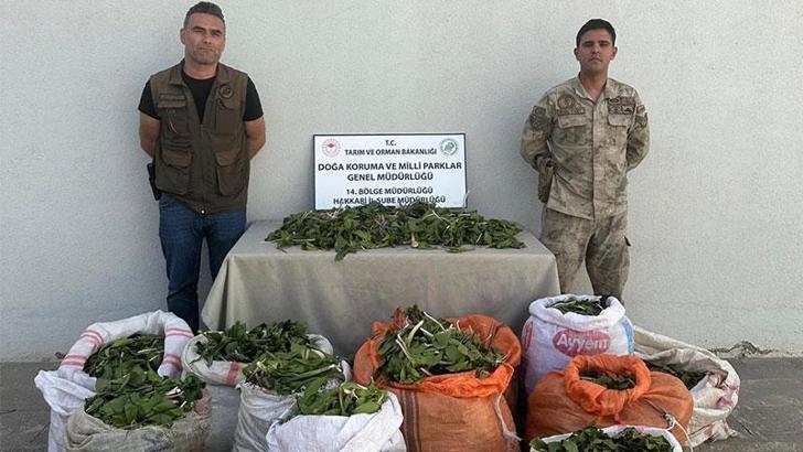 Hakkari soğanlarını İran'a kaçırmak isteyen 3 kişiye 1 milyon 161 bin TL ceza