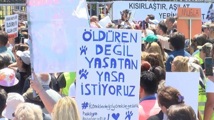 Yenikapı'da sahipsiz hayvanlar için ‘Adalet Mitingi’ düzenlendi