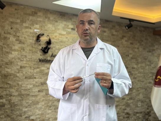 Kimliklendirilen köpek sayısı 934 bin 799'a ulaştı