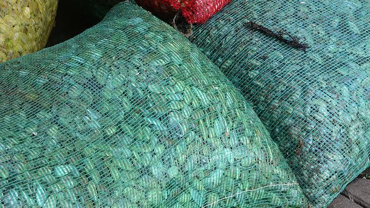 Çanakkale'de kaçak yolla avlanan 3 ton kum şırlanı ele geçirildi