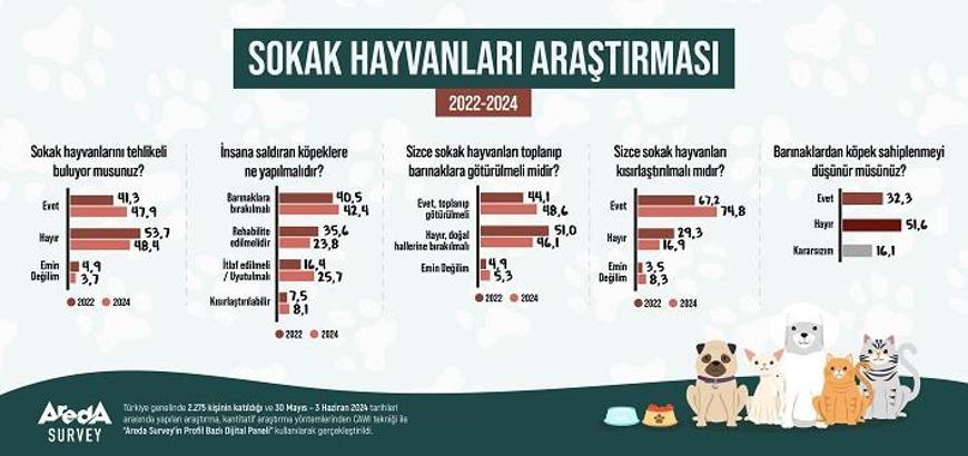 Araştırma: Türk halkının yüzde 47,9’u sokak hayvanlarını tehlikeli buluyor