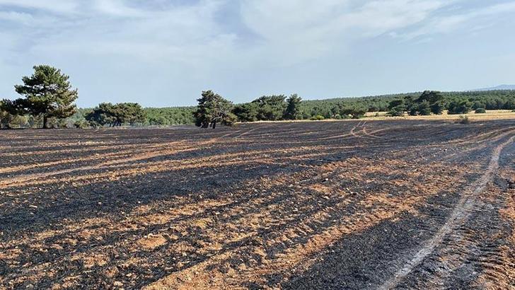 Çanakkale'deki ikinci anız yangını kontrol altına alındı